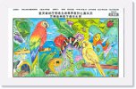 一智 李綺橋 (花鳥蟲魚親子填色比賽優異獎) * 2339 x 1398 * (2.94MB)