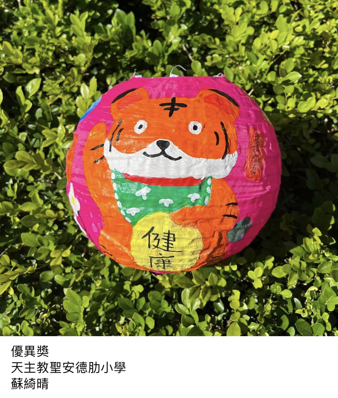 You have reached the last slide