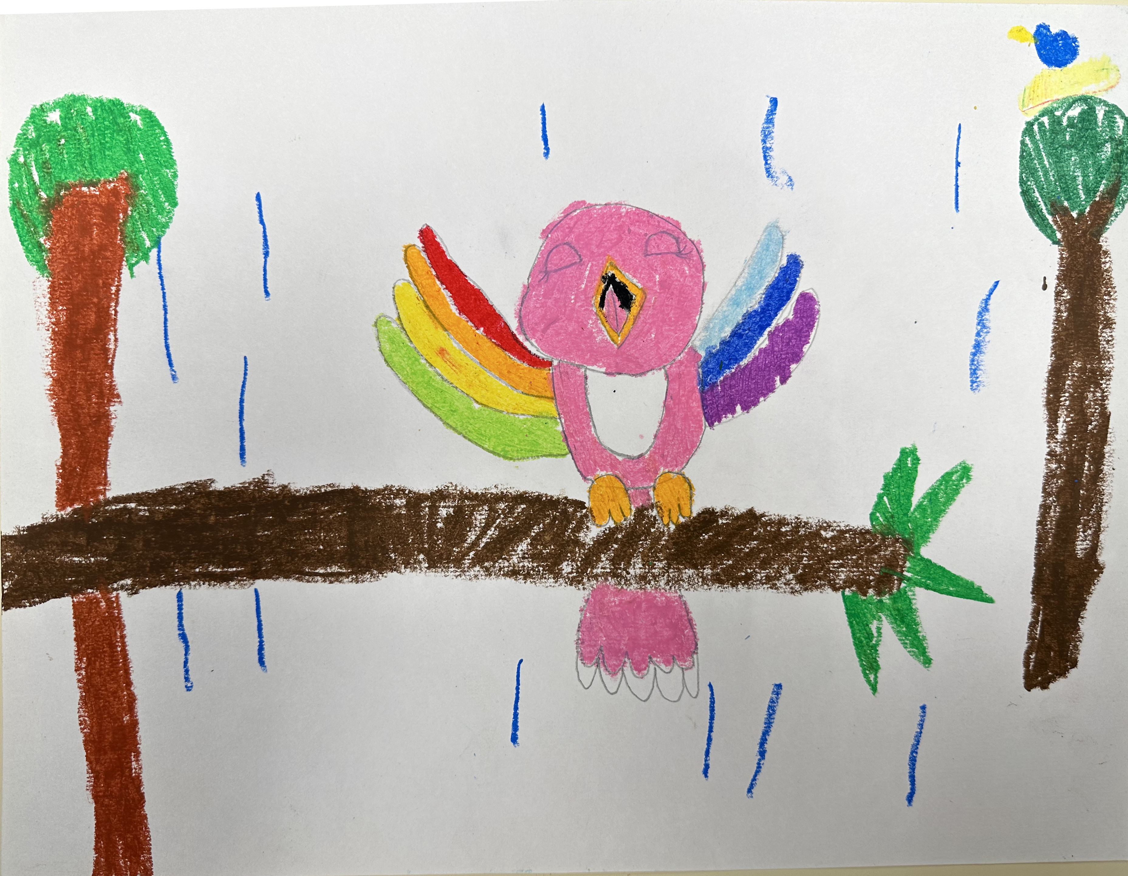 You have reached the last slide